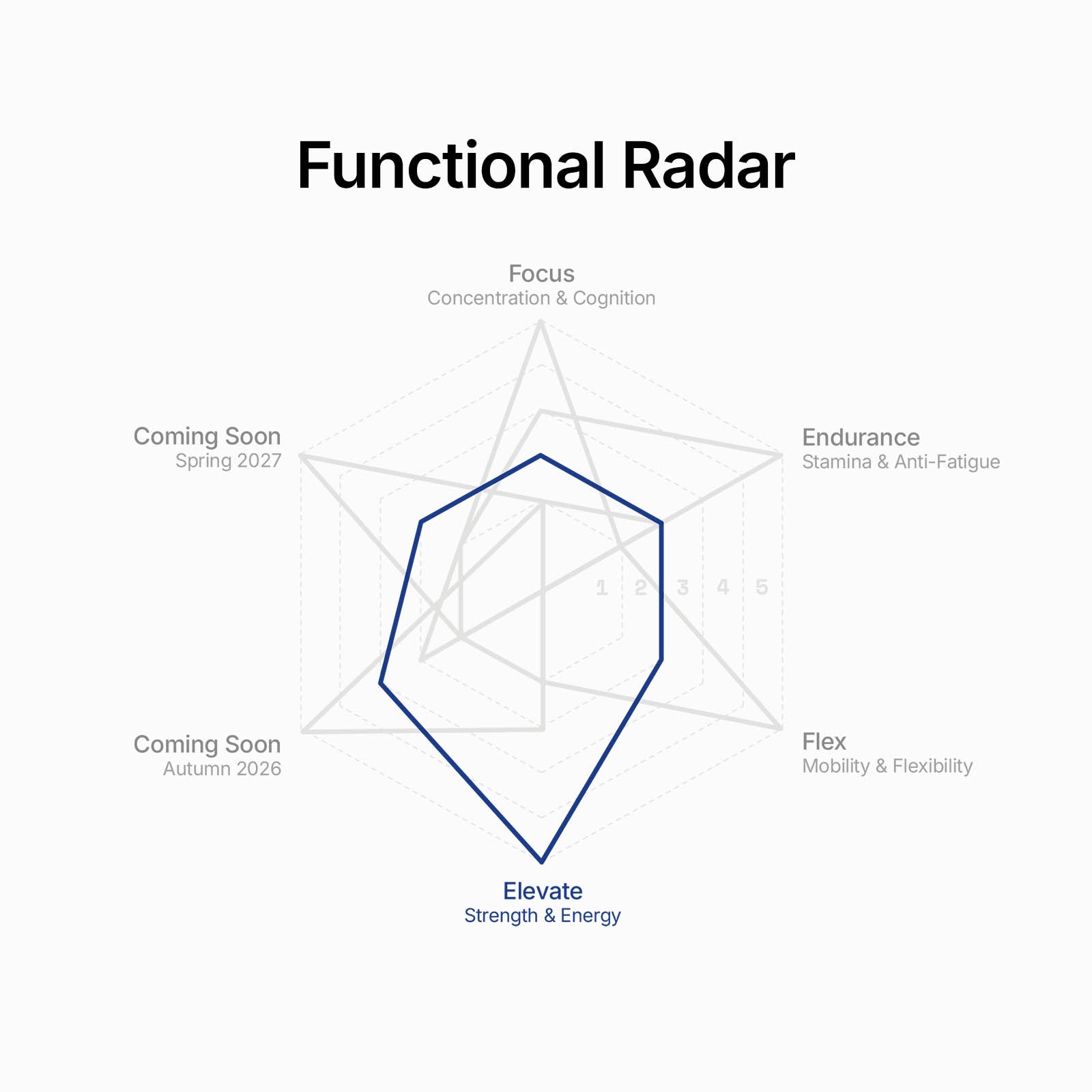 Focus Endurance Bundle